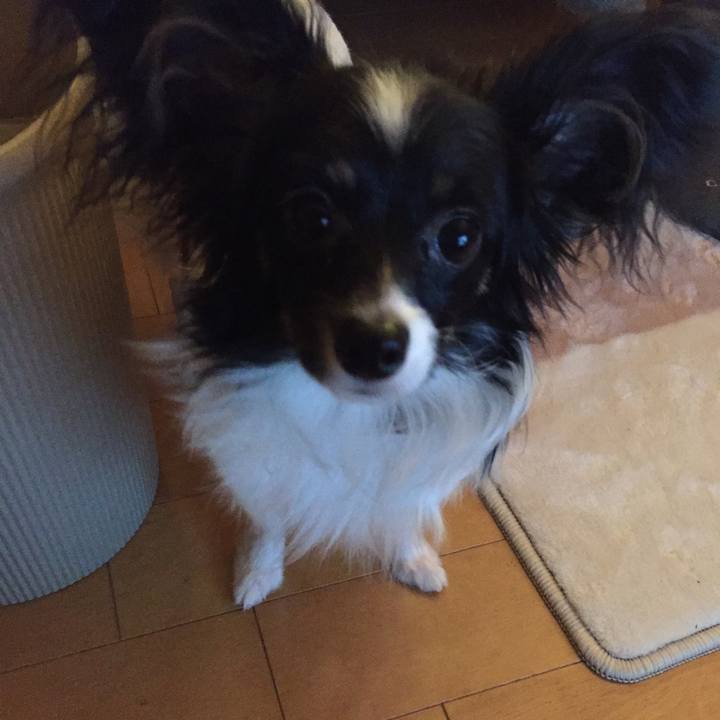 Ddb9887d d10f 4979 b94c 7ec26df732de