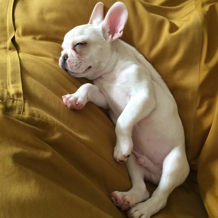 Ddb9d7fa d6c8 4314 80b1 053ae471b2a7