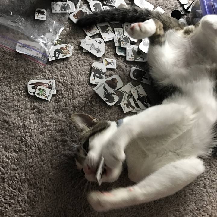 Ddba1003 97dc 4417 ba41 2e4e75db0041