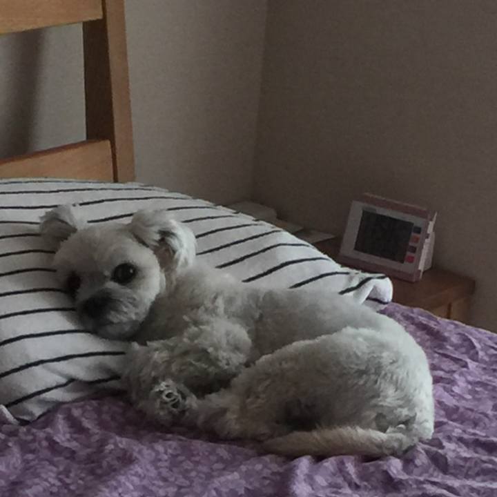 Ddba54da f3a8 4889 a038 dbf8c4e780cd