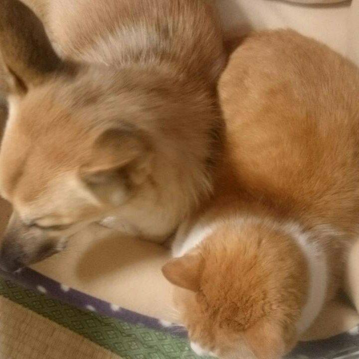 Ddbaec62 00b4 49bd a130 e1827c322035