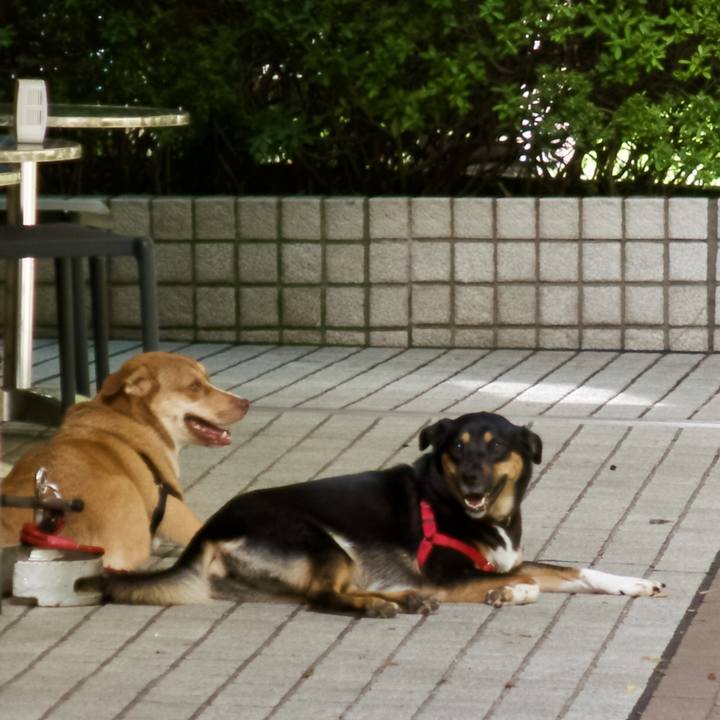 Ddbaedcb 6582 41be 9a6b fb47ae94afee