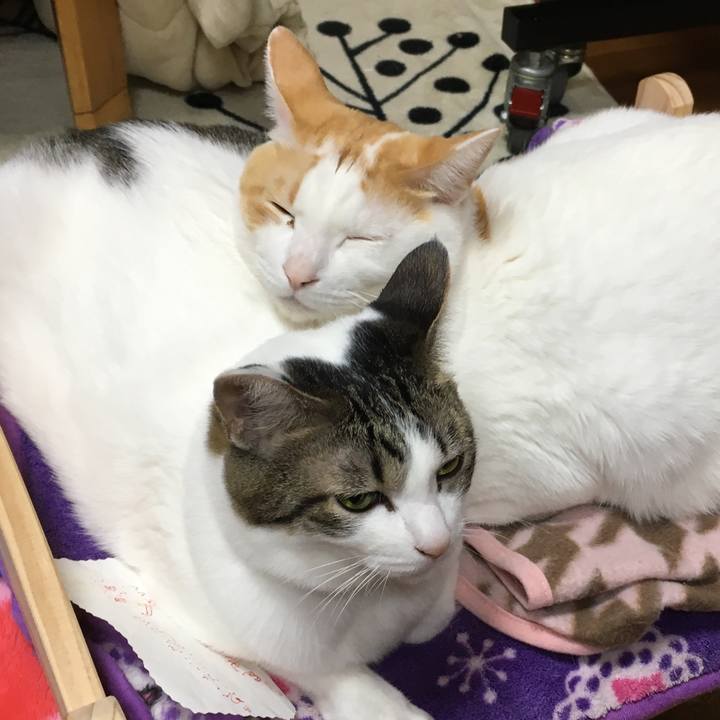 Ddbafadb ac5f 4572 9cc2 5f2a09365f25