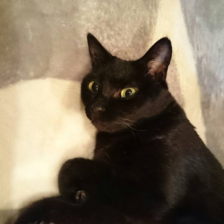 Ddbb19e0 69ae 46dd 9989 3093b31c144a