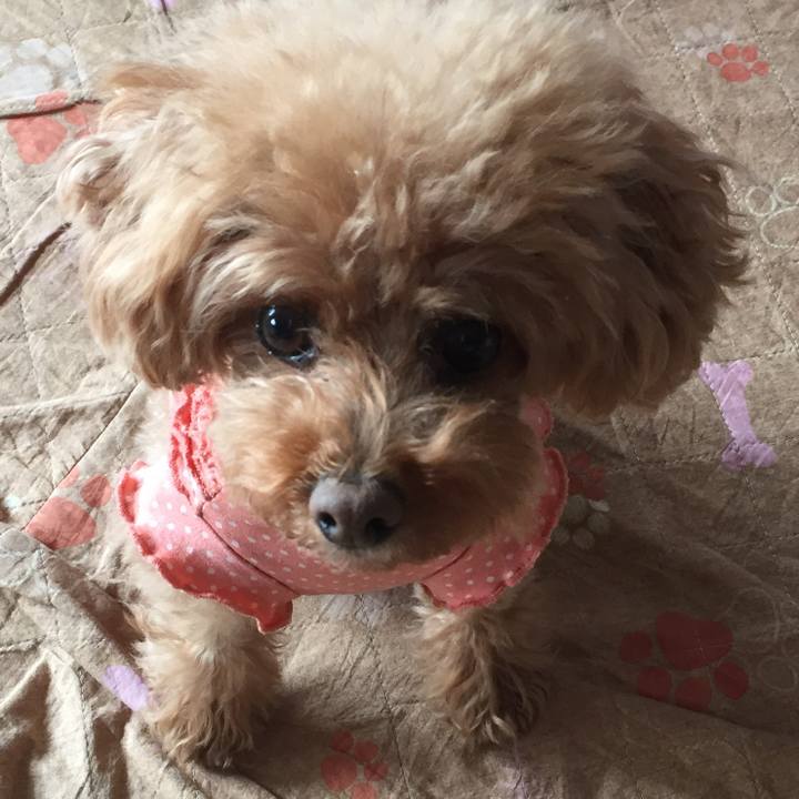 Ddbb2f53 9d62 4d2e a369 bef7fde73512