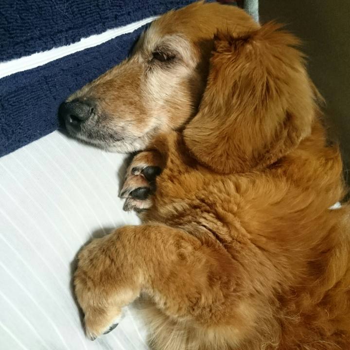 Ddbb5e33 c522 4230 bab4 096647dcf21d