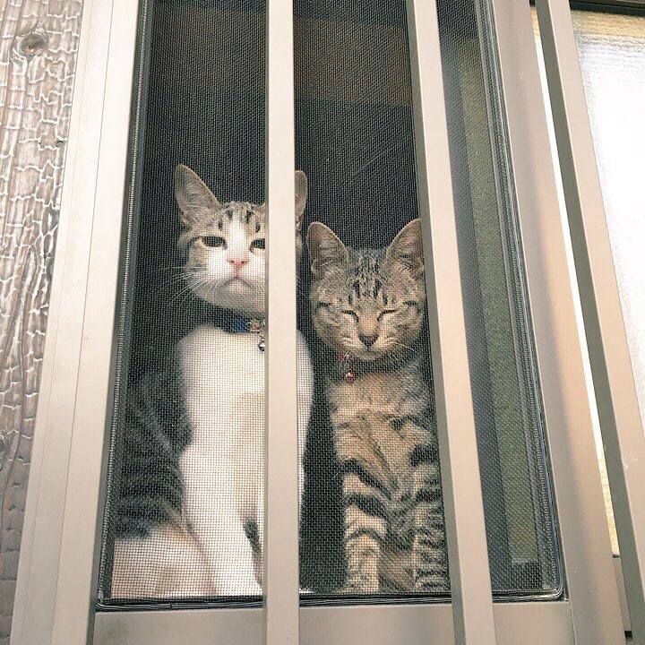 Ddbbb698 c67c 464d bd09 5bf6eb7c530a