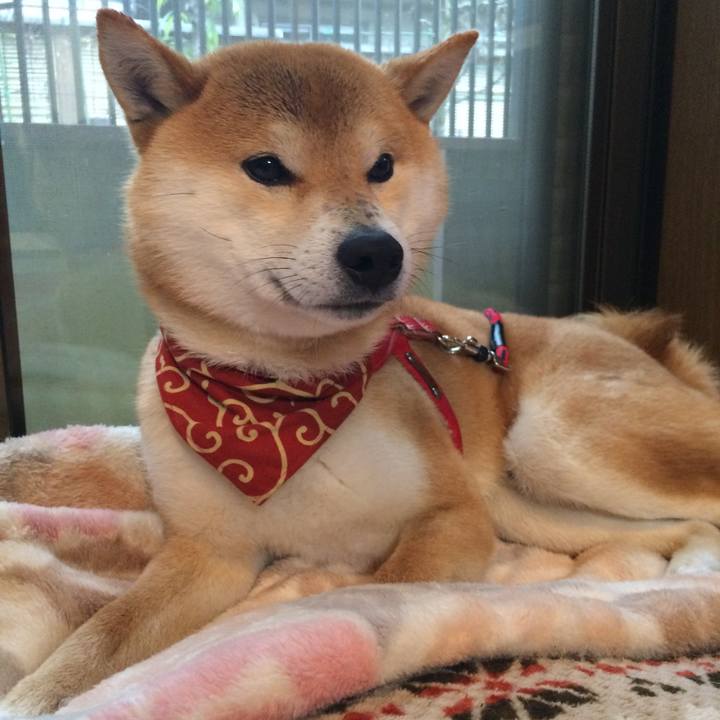 Ddbcd3e0 78a4 4d76 a551 1e0ca9bba0f4