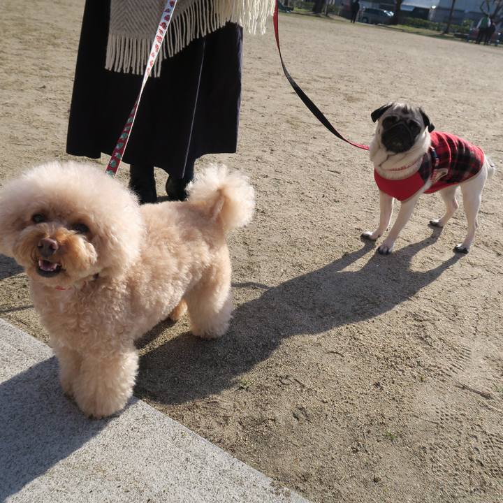 Ddbcd799 84ee 4226 842d 2d3585776614