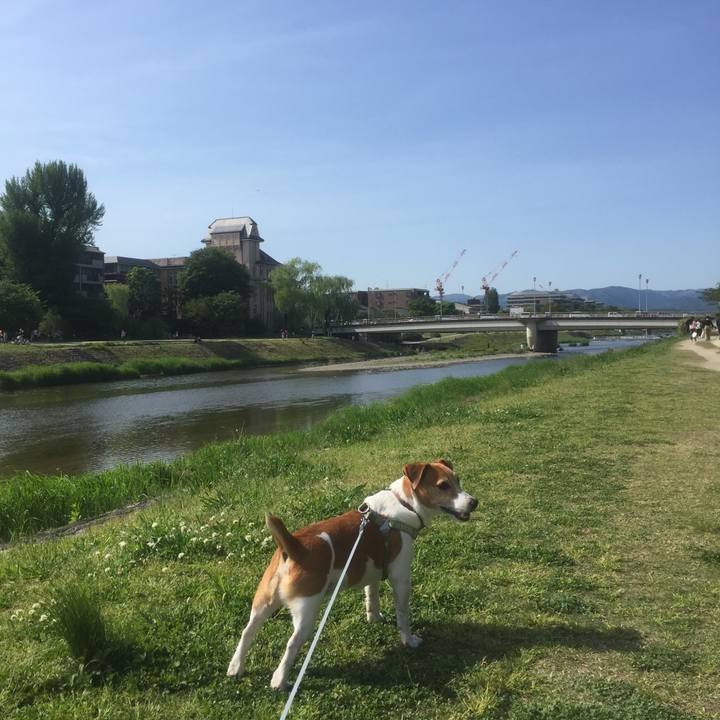 Ddbd55df 3c4c 47e6 bd7d 56ebc629c72f