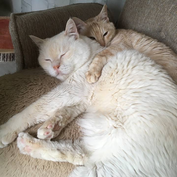 Ddbdcc46 e881 434e 9ad8 2b818862ab91