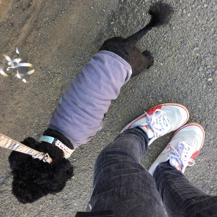 Ddbee859 6374 4981 b74c 3c9b65afc850