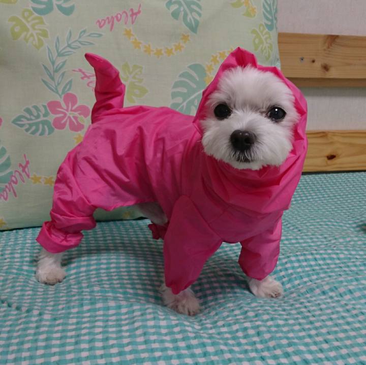 Ddbf34e6 e39f 4ce4 9575 bc9d20d114f6