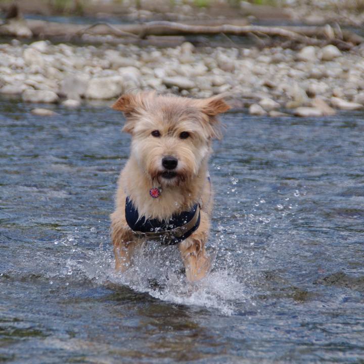 Ddbf3598 362b 482e b0f8 7611aafca472