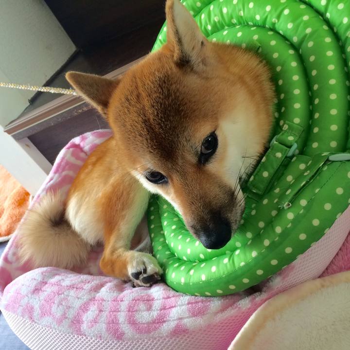 Ddbf6f80 44f7 4316 9e8e f944b10ae663