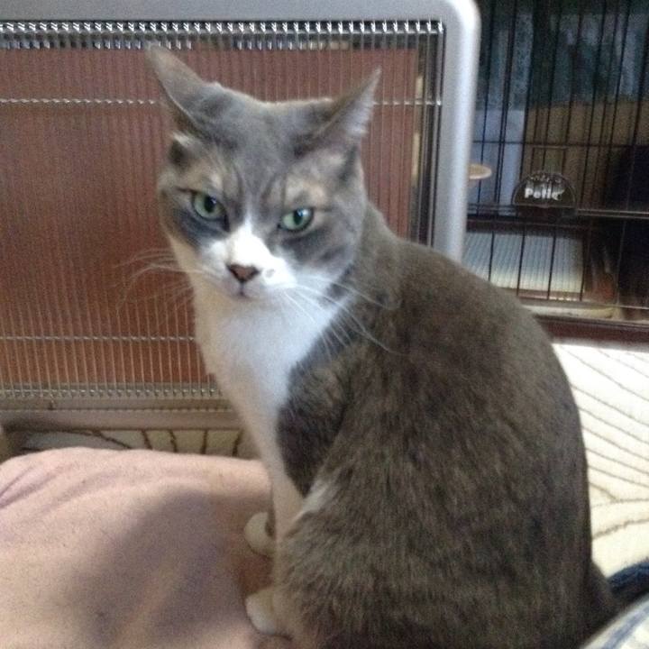 Ddbfeda1 48e2 4857 a65b af895c7a6e40