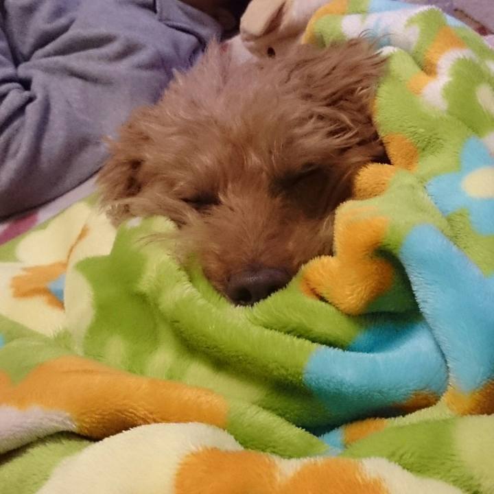 Ddc1b7e2 ce54 470d 8cea e0e1e26916e9