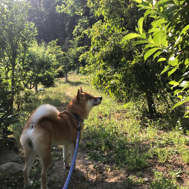 Ddc29ba0 936a 44c3 b97d 8181df3d61a5