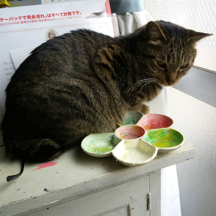 Ddc2b127 9379 4f9a 8a43 81e74e657f65