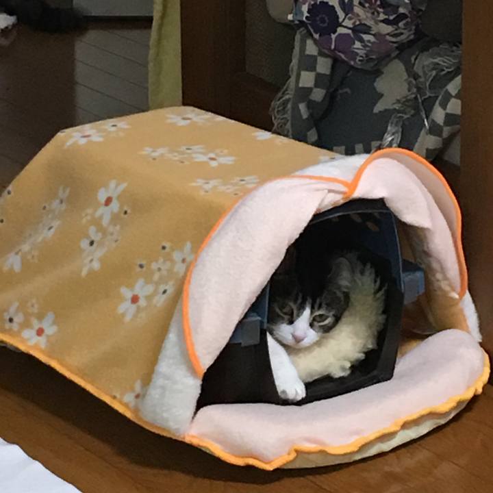 Ddc3174a 94e2 4cdd bd7a 257969ffe65a