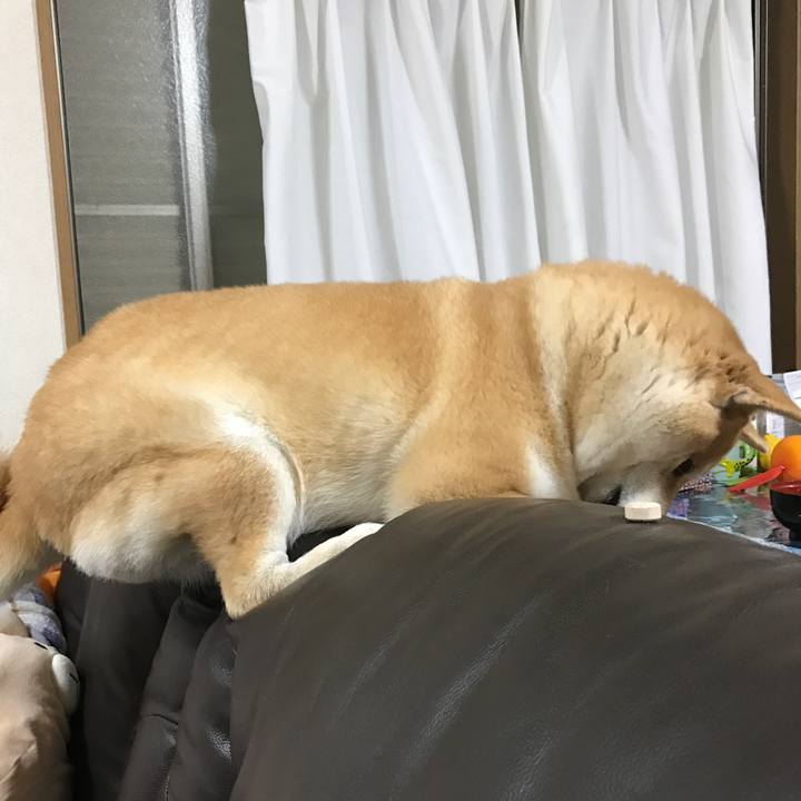 Ddc4634f 9539 4e5c 8000 9201e3ad348f