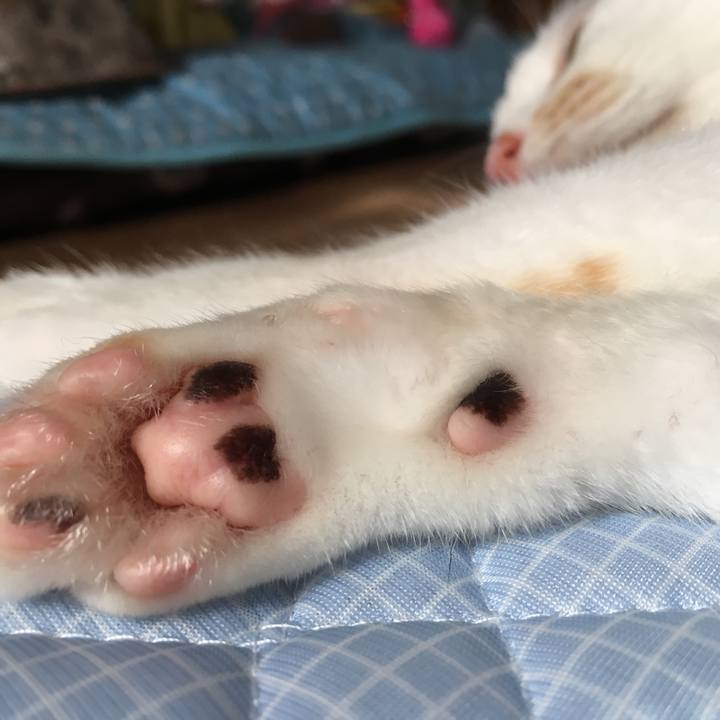 Ddc47c1b a888 4746 8b96 b9e9992adffc