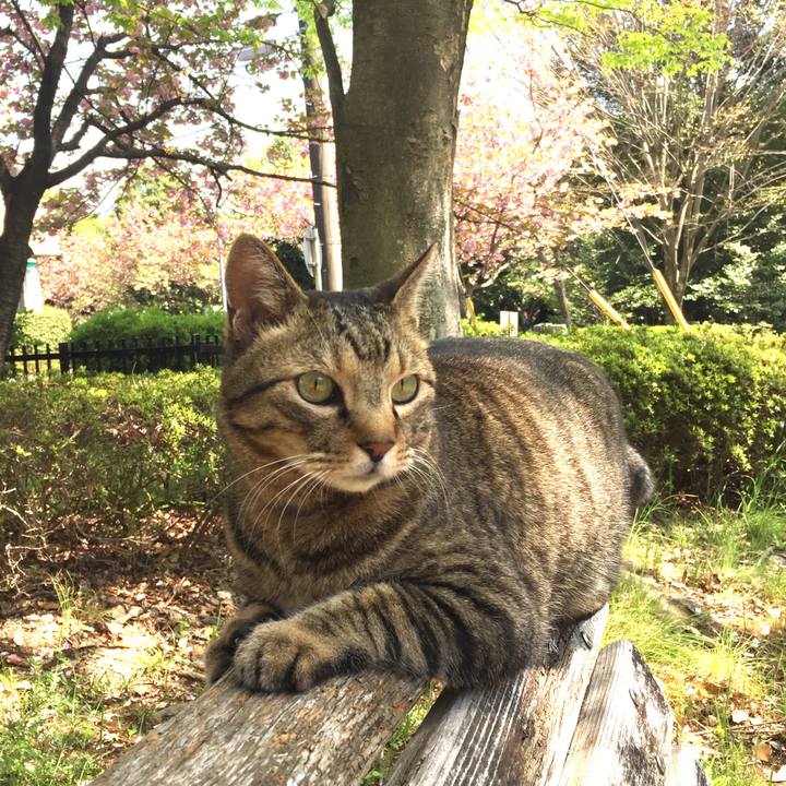 Ddc4ee9c b770 4330 81fd 516b2278f211