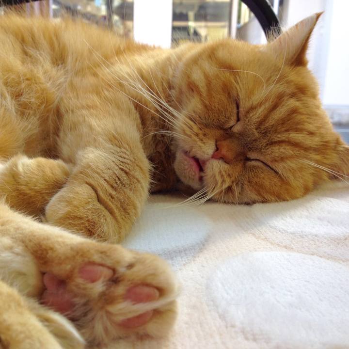 Ddc4f0b5 b47b 4e84 a458 7de89a0e5615