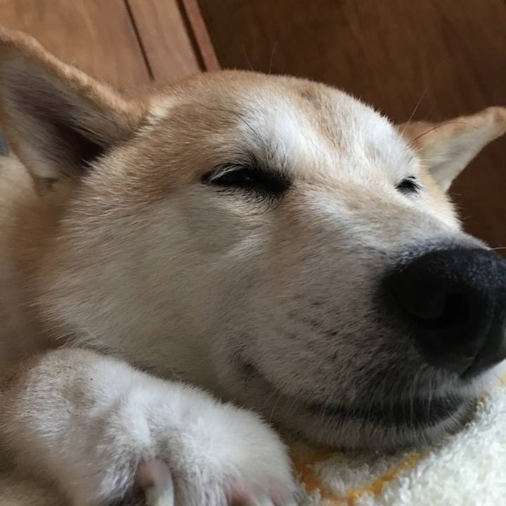 Ddc52dbf e19c 4662 ae96 932a0d521114