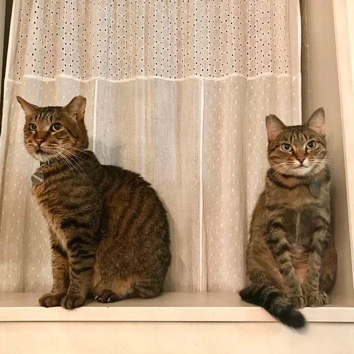 Ddc53f1c 8467 4ee2 971c 648e84e9002a