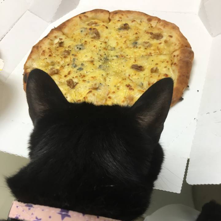 Ddc54e03 ca9b 49b8 9d72 23afe47f702c