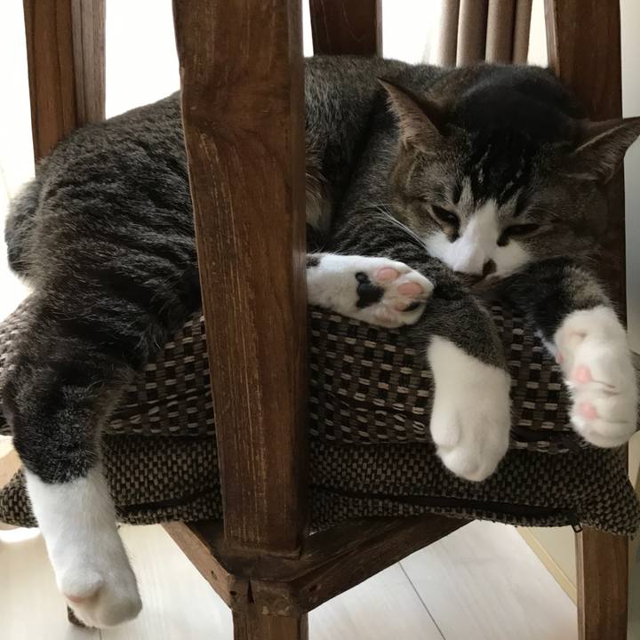 Ddc5a262 98ff 4433 9eb5 d1d88428876e