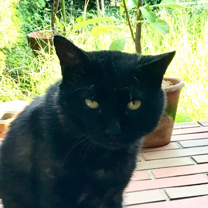 Ddc5afd1 4ffd 4538 a390 babf92757c22