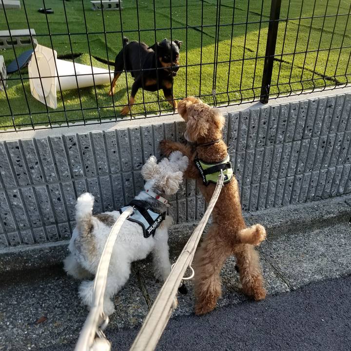 Ddc5b842 5bdc 4990 8836 863971f59280