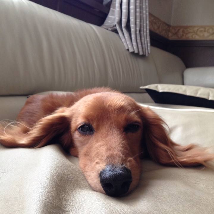 Ddc64c49 11d7 42f6 b199 170c0f121ec3