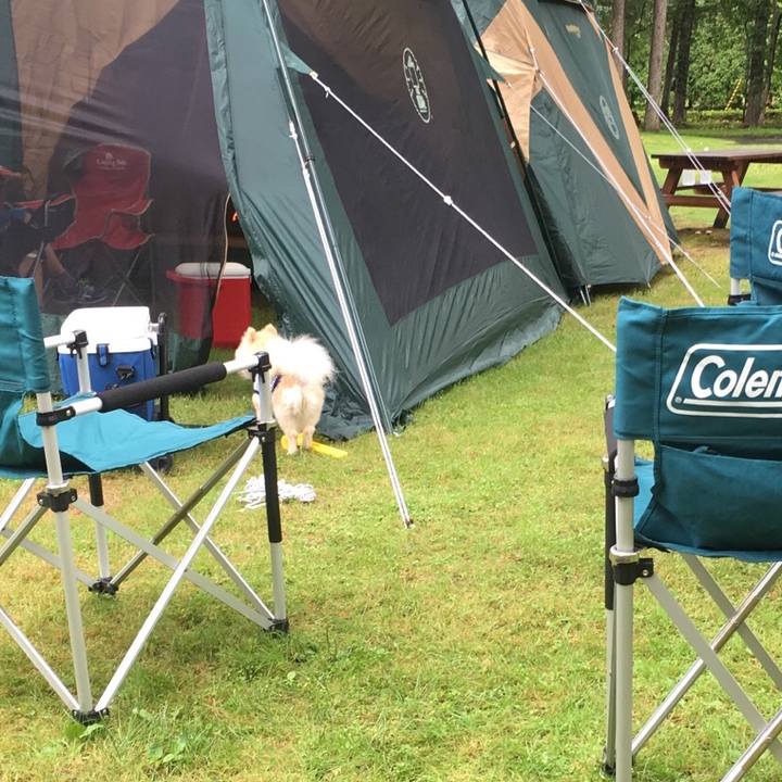 Ddc64dc9 b8fc 4d3d 9a55 3584442f15f0