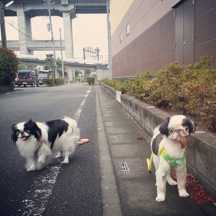 Ddc6d782 819f 46b7 a74d 388aa73311b6