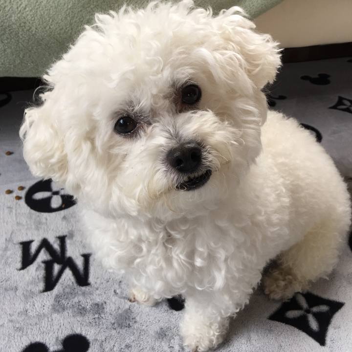 Ddc85316 9c1c 4ee6 b90b 312b0af6cf9b