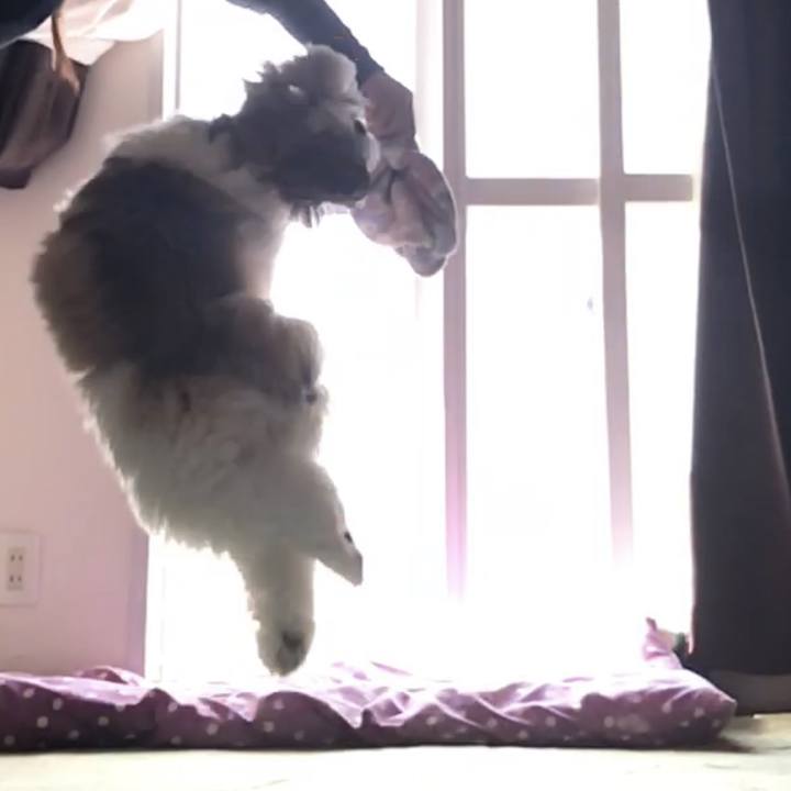 Ddc8c7a5 2a25 4922 8d92 86616b155fff