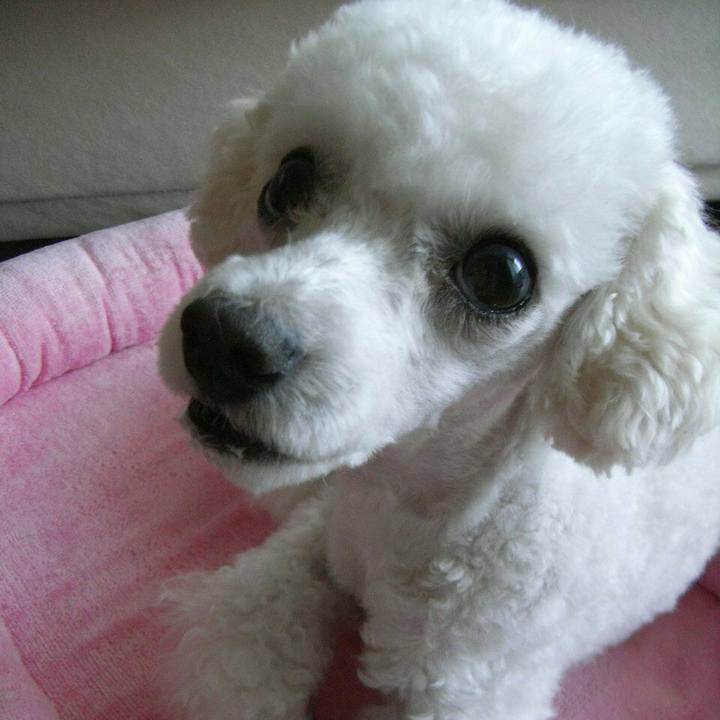 Ddc8cd39 3eb4 4ccd a05e bd5317622f0b