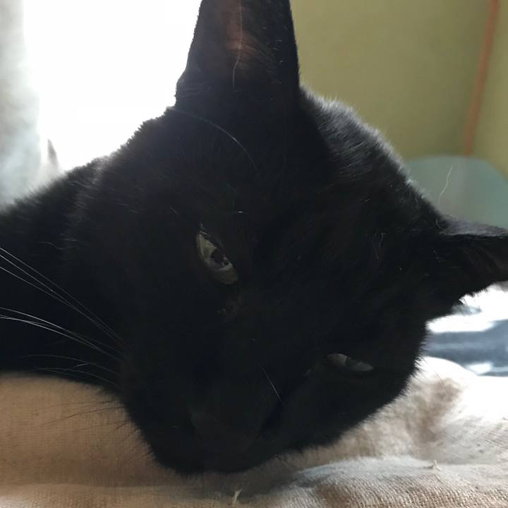 Ddc8eaee b2cb 4ac7 9bc4 f9920dca4950