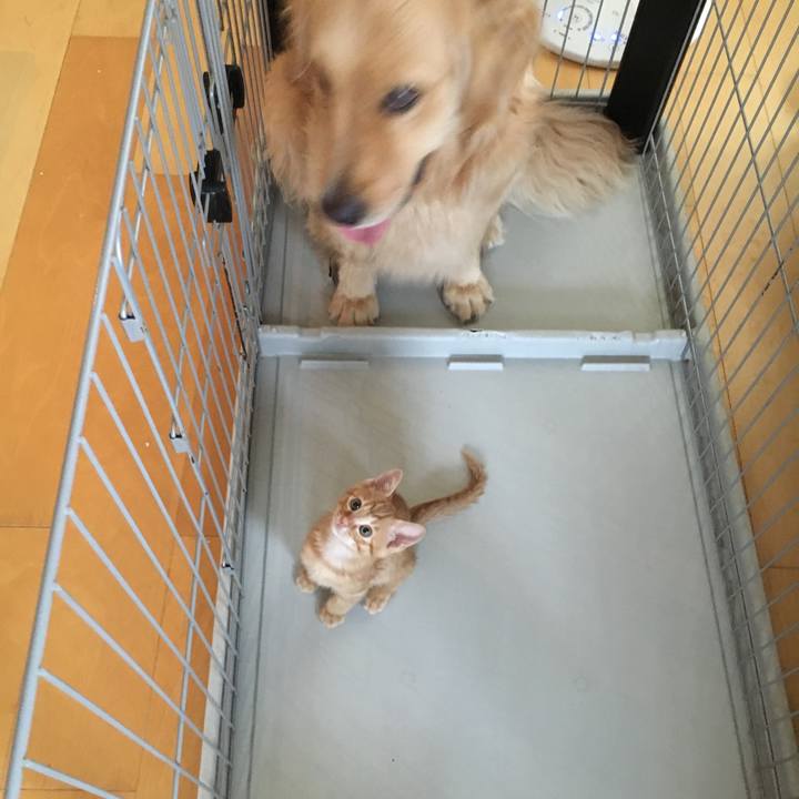 Ddcaf7a4 4843 4f41 9d65 b3934f48a6cb