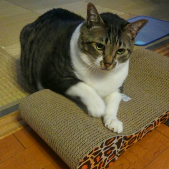 Ddcb578b fa49 4cfd 920a 65615530b95e