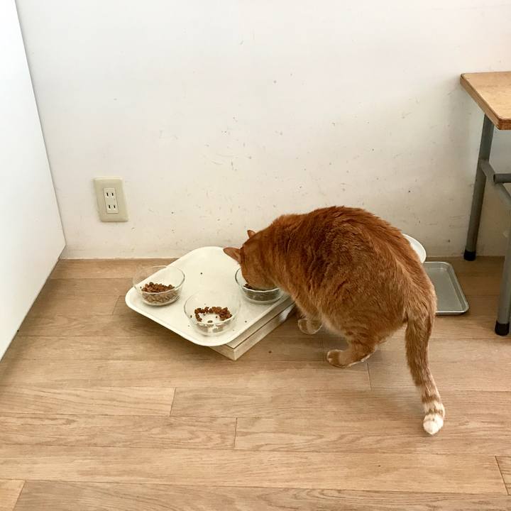 Ddcbceda 38fd 4f77 9cb4 00a8c5deb24d