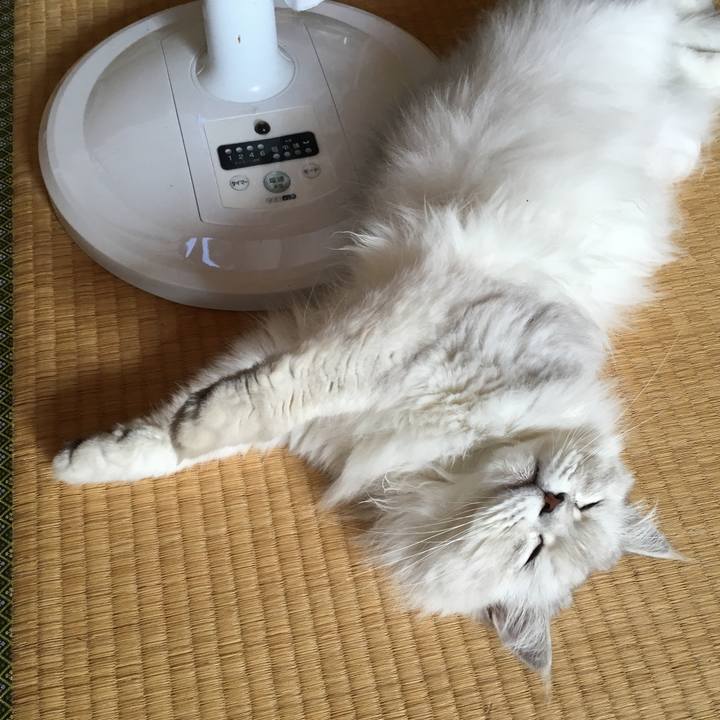 Ddcca4fd b1f5 4267 9f92 e20e19bdb91c