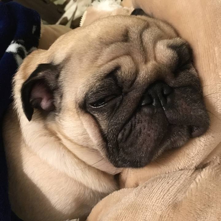 Ddcdc0bb 90a7 41d1 b2a6 fe5356085436