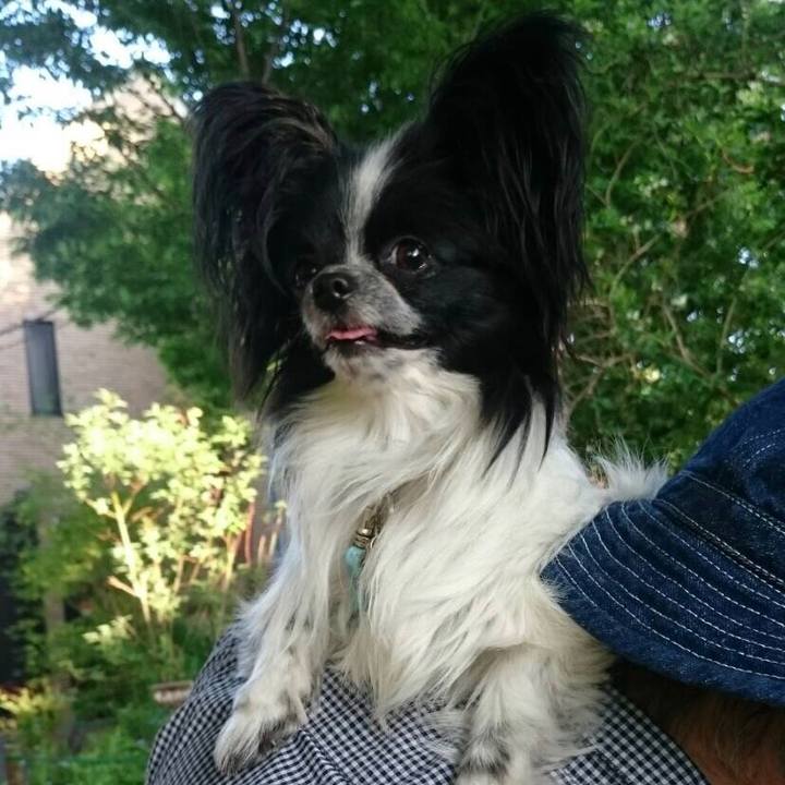 Ddce3801 0356 4333 b2df 7040fcd9f17a