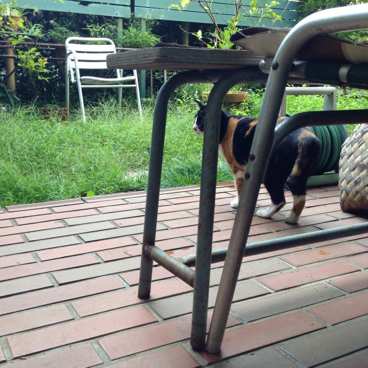 Ddce73c1 7594 478b be73 b1a7033c162f