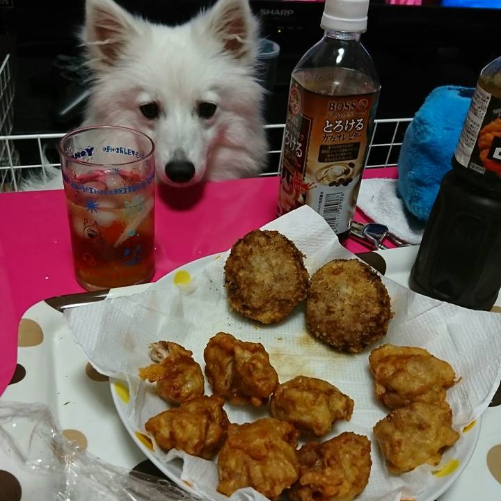 Ddcec437 7099 477e a638 6f676f34fcd4