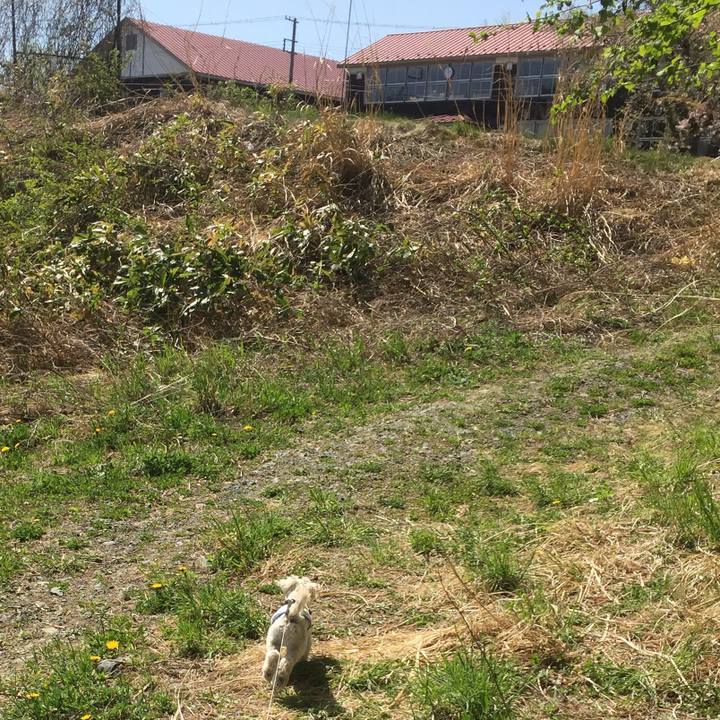 Ddcef36e 10b4 410d b8a6 8cb474f73056